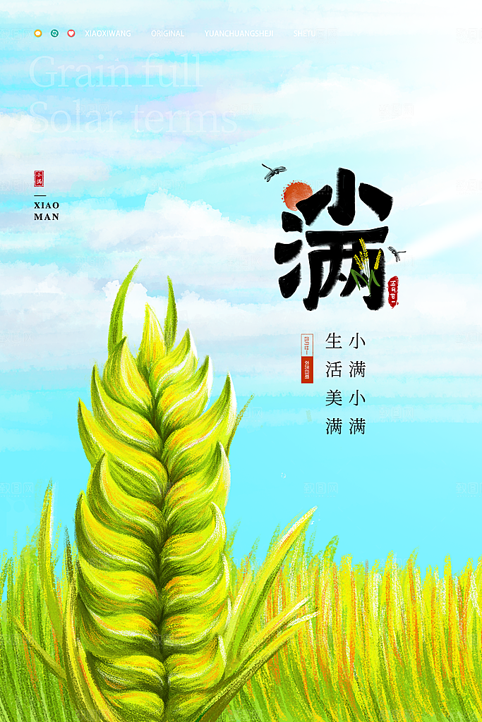 传统节气小满宣传海报