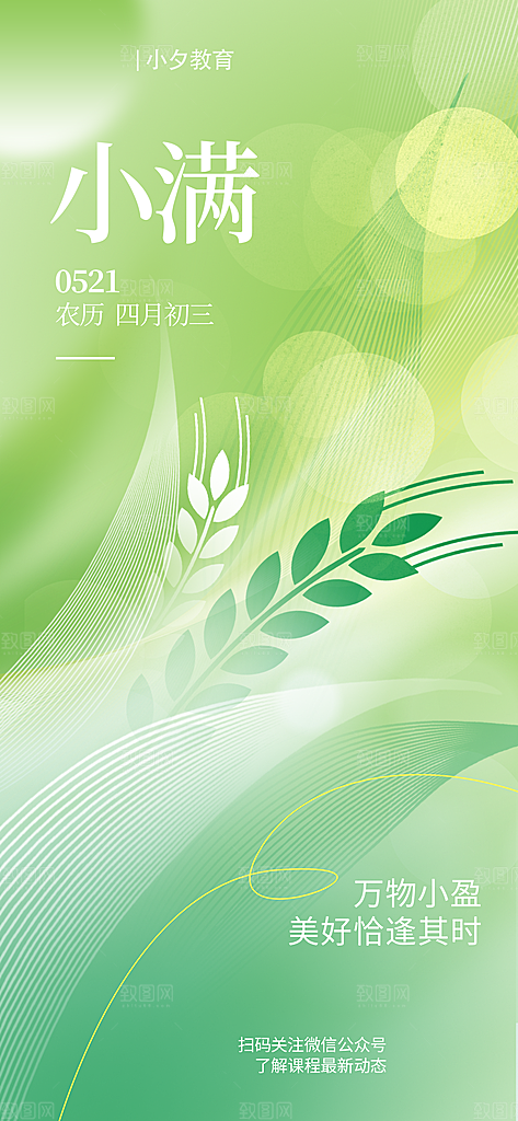 传统节气小满宣传海报