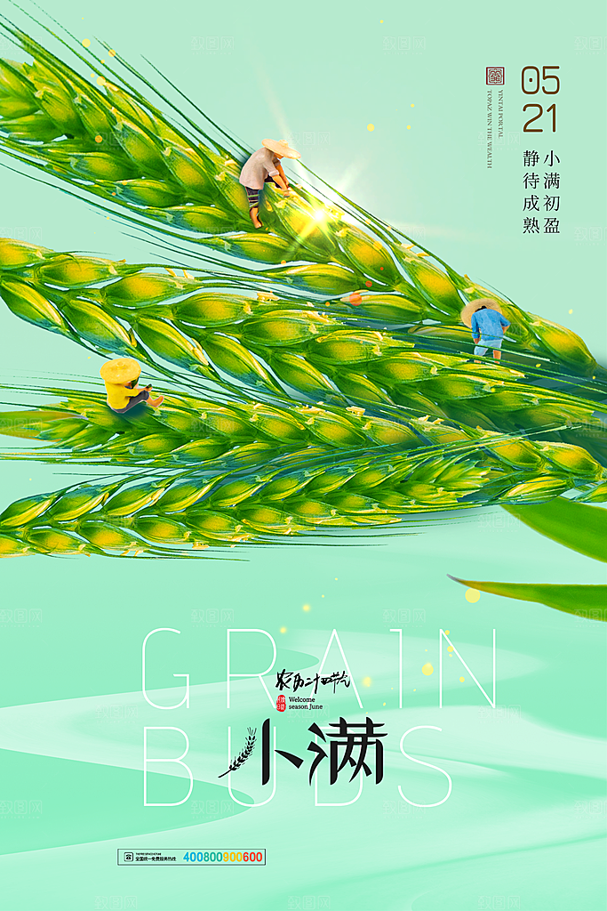 传统节气小满宣传海报