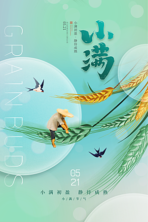 传统节气小满宣传海报