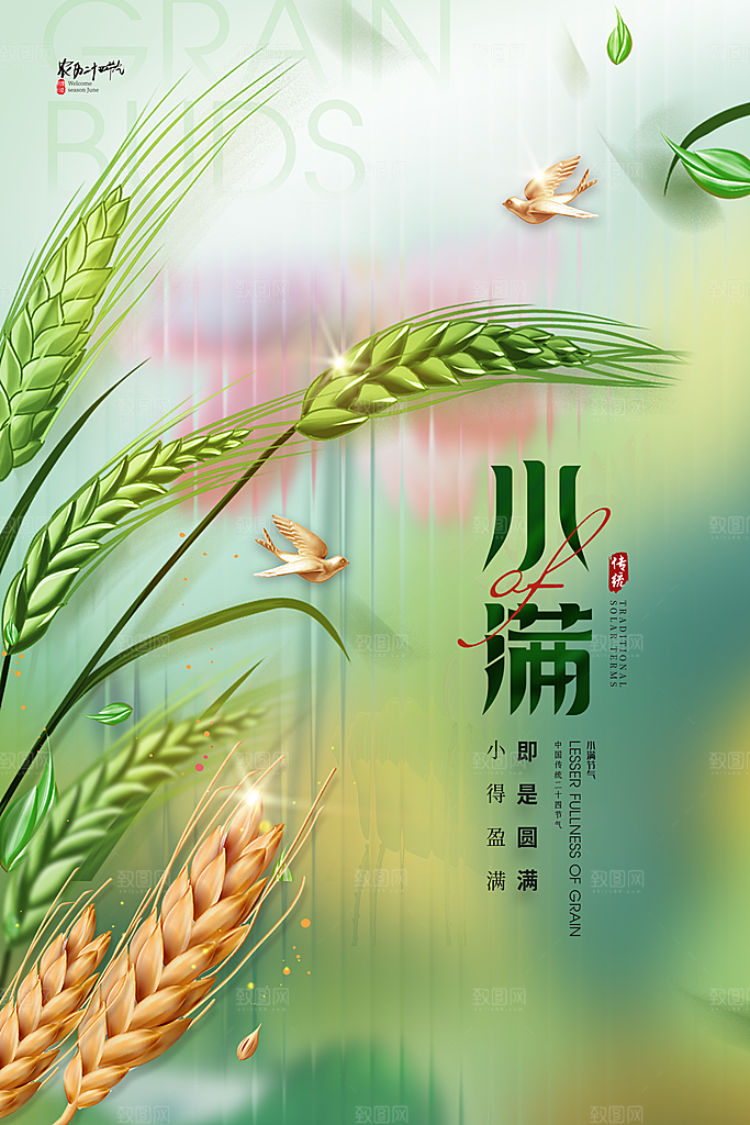 传统节气小满宣传海报