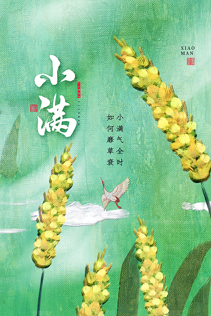 传统节气小满宣传海报