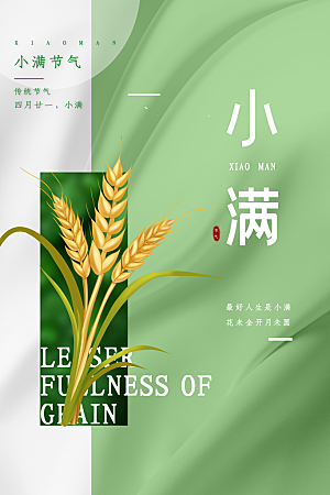 传统节气小满宣传海报