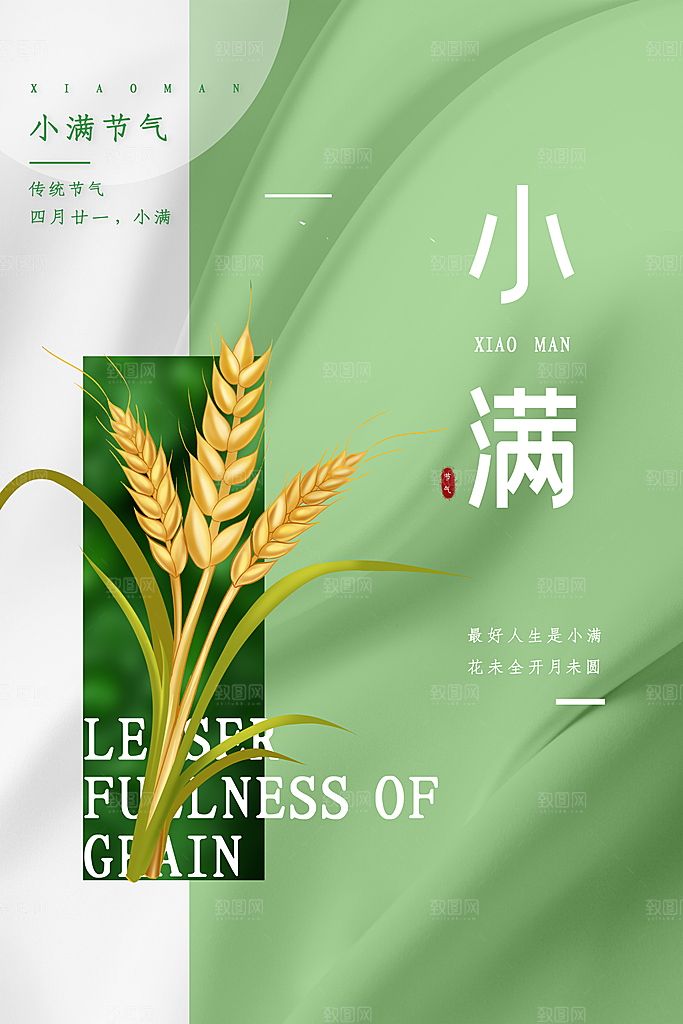传统节气小满宣传海报