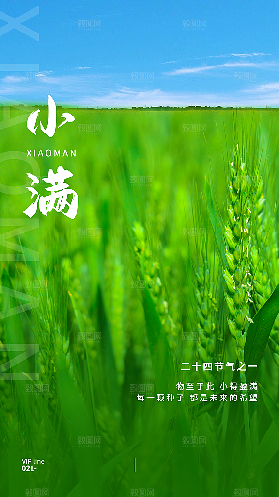 传统节气小满宣传海报