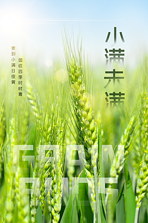 传统节气小满宣传海报
