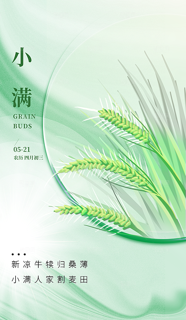 传统节气小满宣传海报