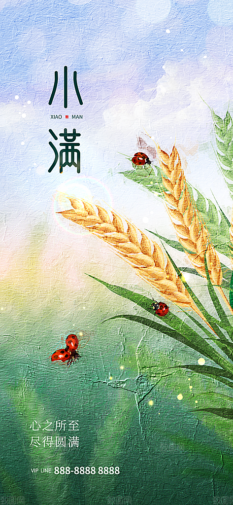 传统节气小满宣传海报