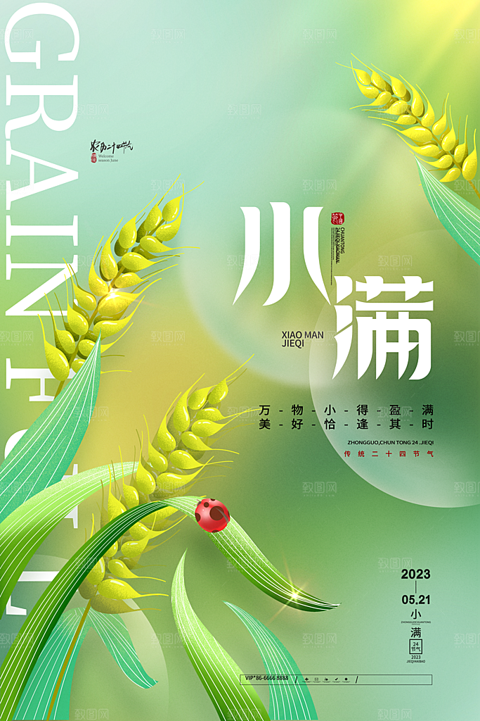 传统节气小满宣传海报