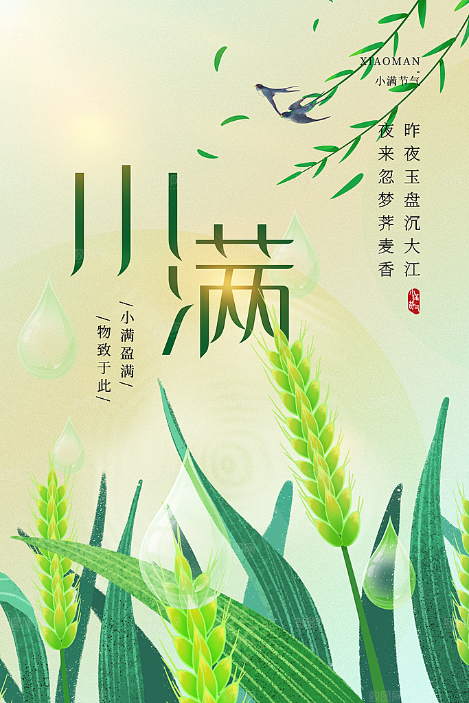 传统节气小满宣传海报