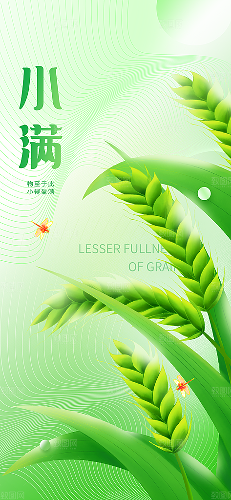 传统节气小满宣传海报