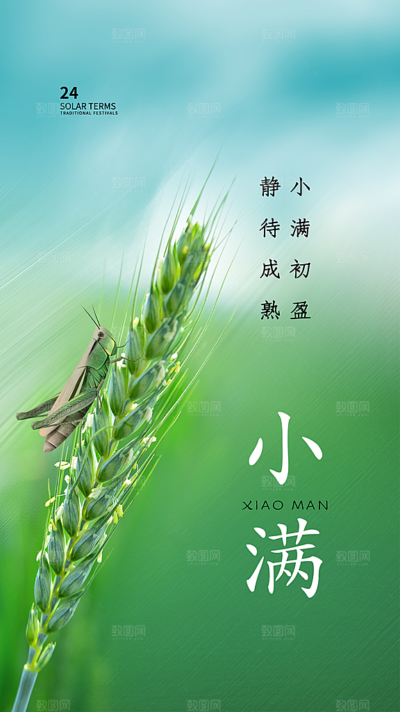 传统节气小满宣传海报