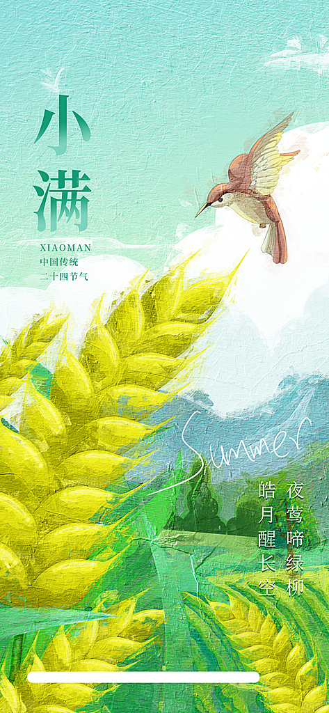 传统节气小满宣传海报