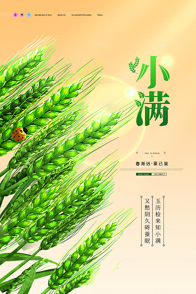 传统节气小满宣传海报