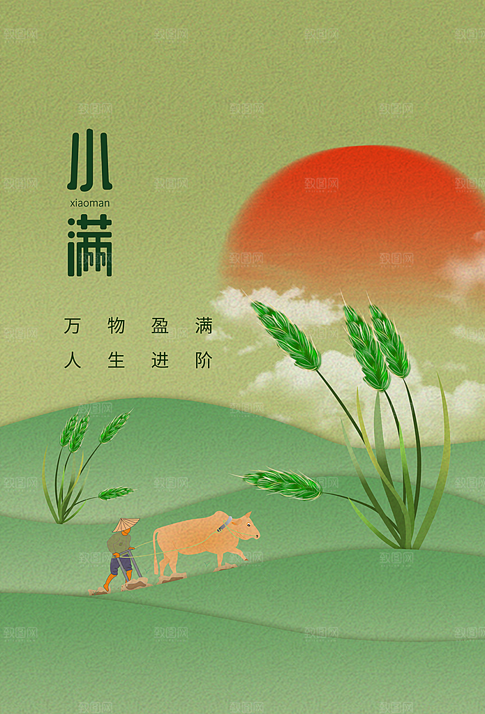 传统节气小满宣传海报
