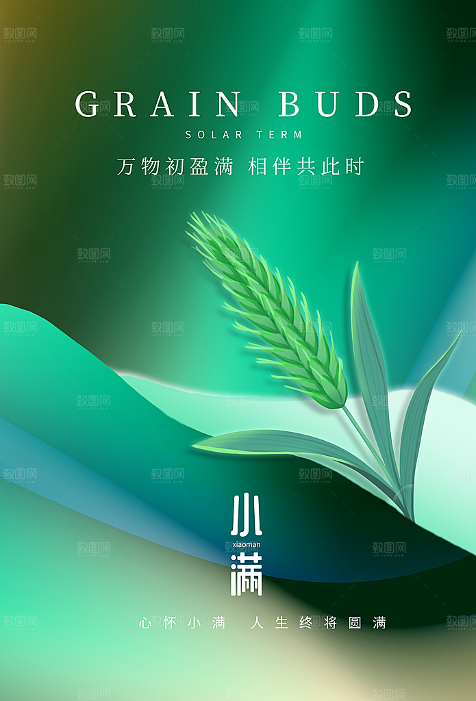 传统节气小满宣传海报