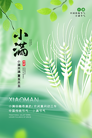 传统节气小满宣传海报