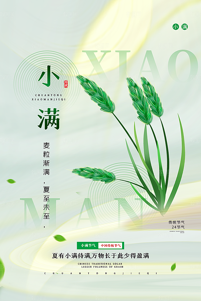 传统节气小满宣传海报