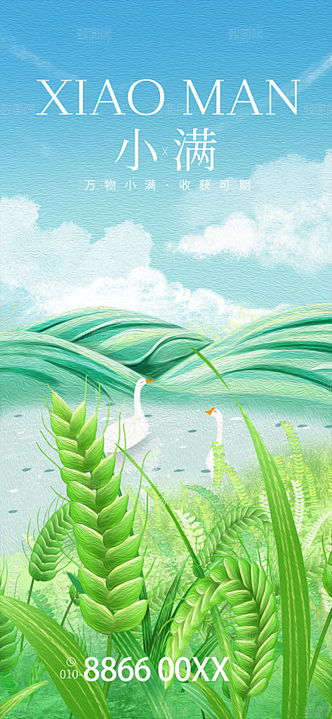 传统节气小满宣传海报