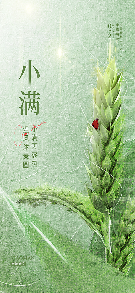 传统节气小满宣传海报