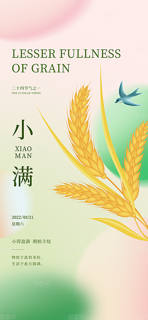 传统节气小满宣传海报