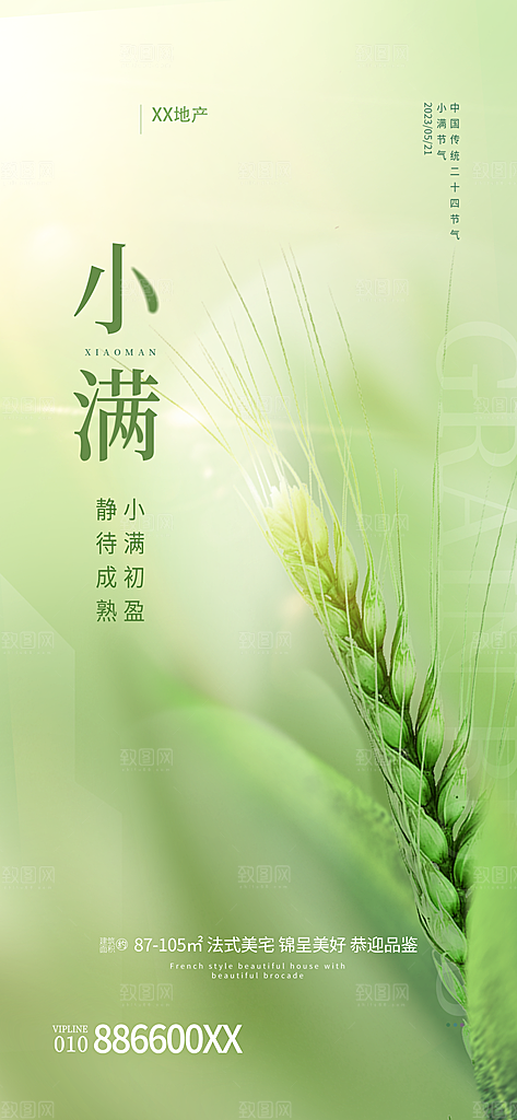 传统节气小满宣传海报
