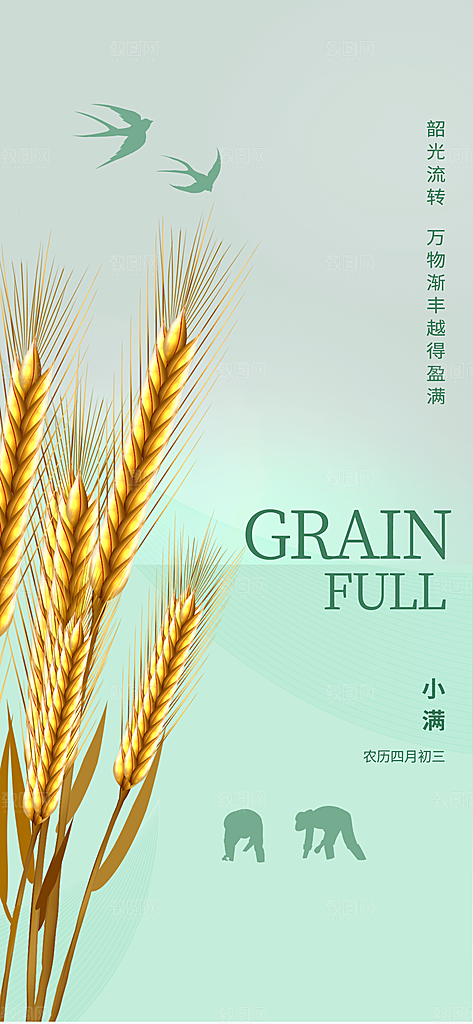 传统节气小满宣传海报
