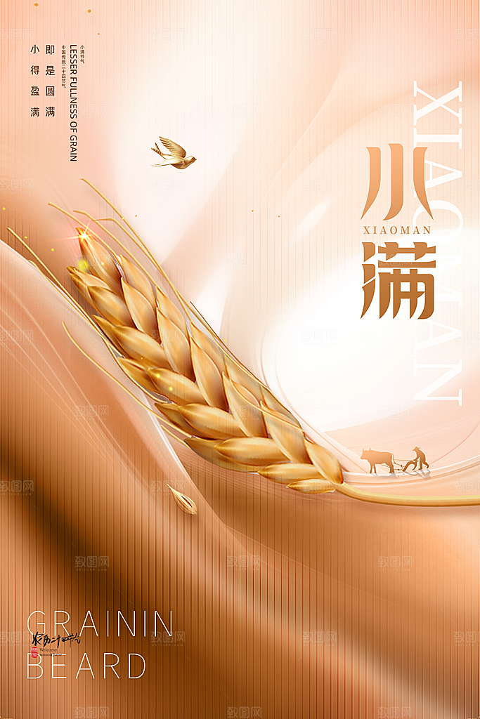 传统节气小满宣传海报