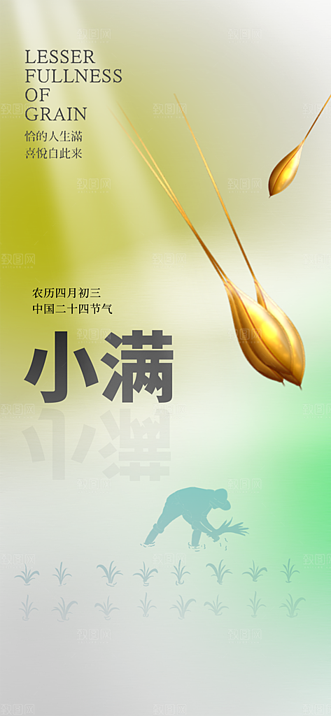 传统节气小满宣传海报