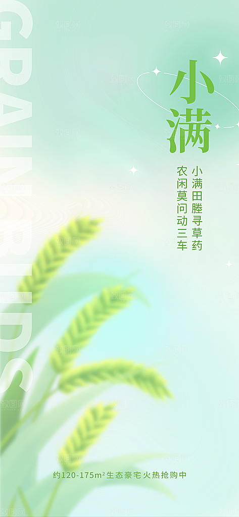 传统节气小满宣传海报