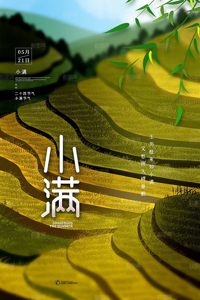 传统节气小满宣传海报