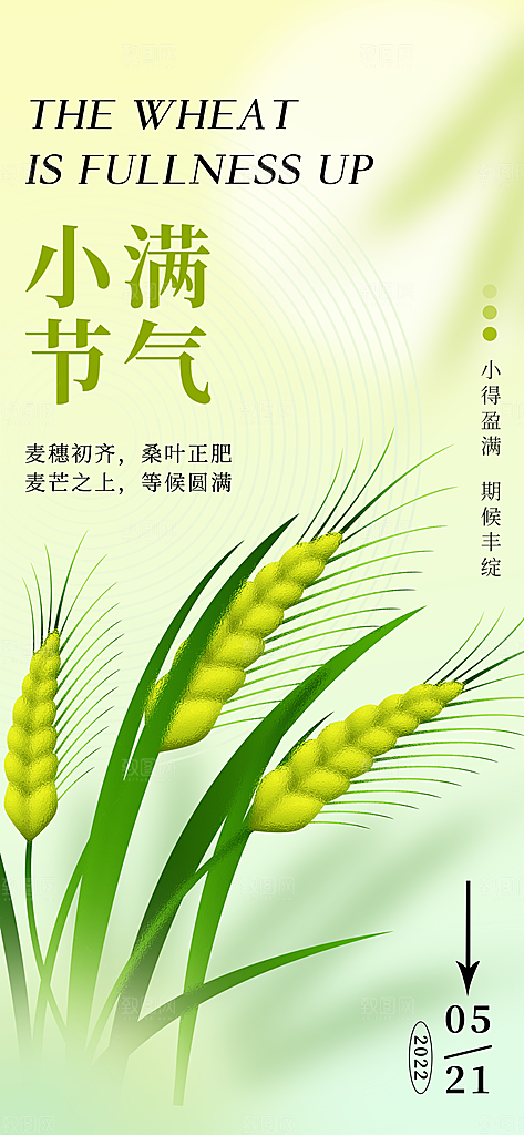 传统节气小满宣传海报