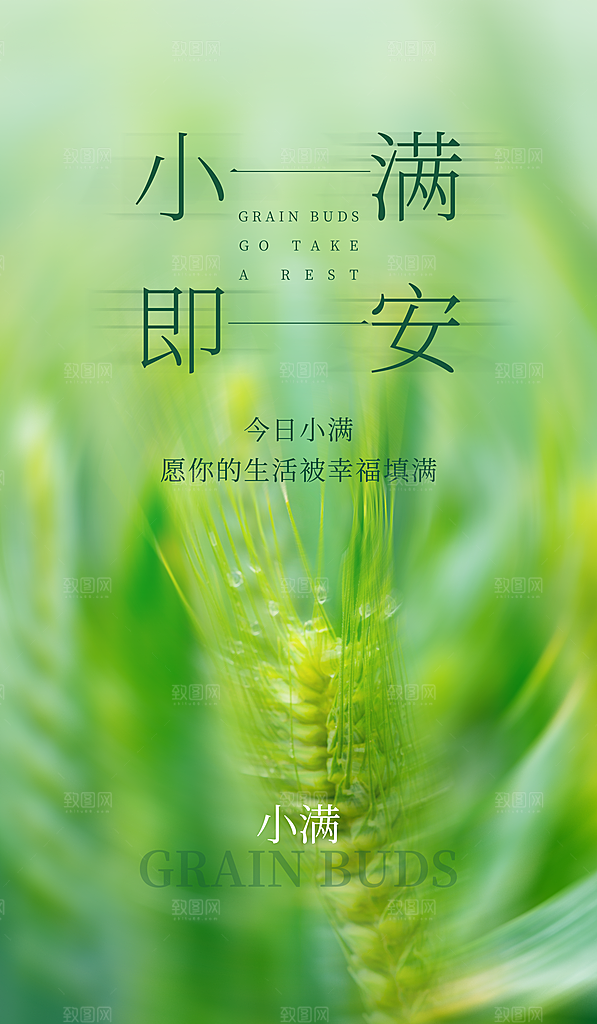 传统节气小满宣传海报