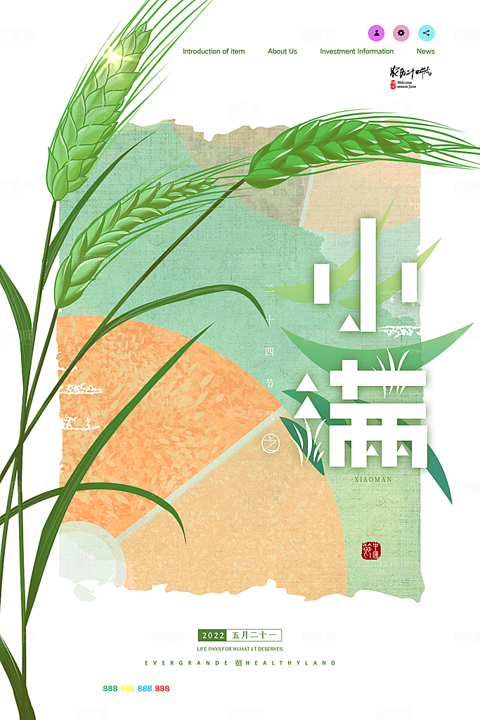 传统节气小满宣传海报