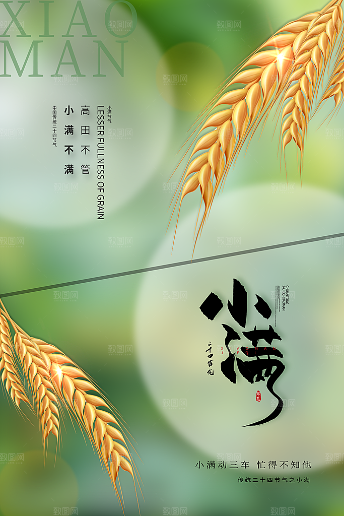 传统节气小满宣传海报