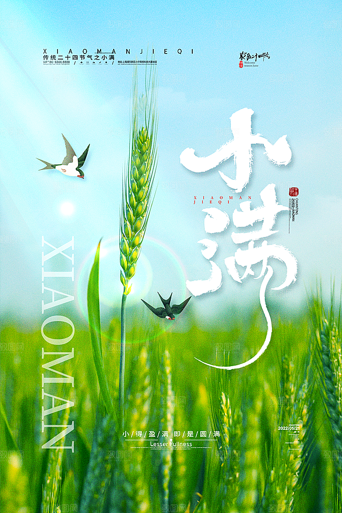 传统节气小满宣传海报