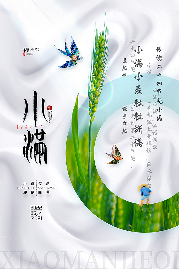 传统节气小满宣传海报
