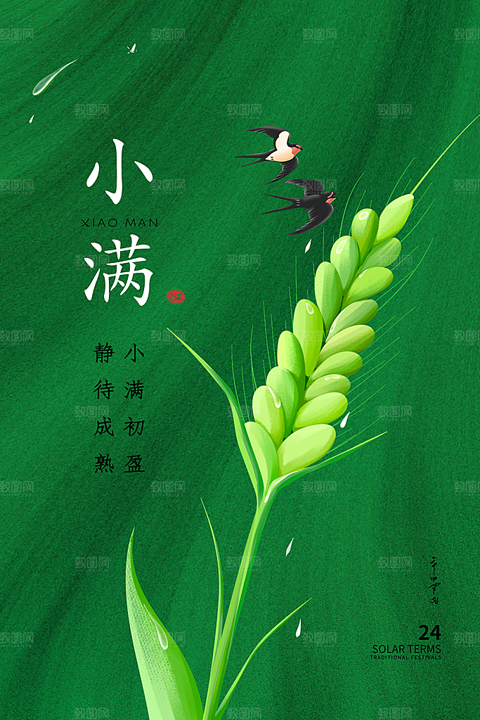 传统节气小满宣传海报