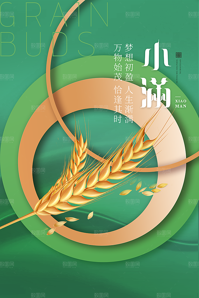 传统节气小满宣传海报