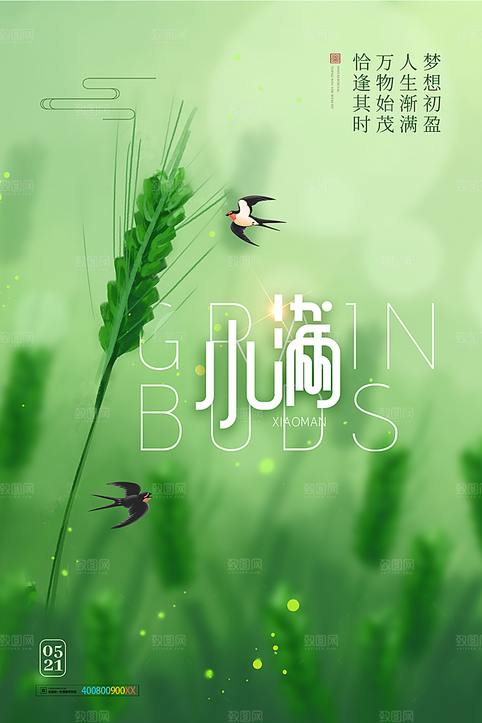 传统节气小满宣传海报