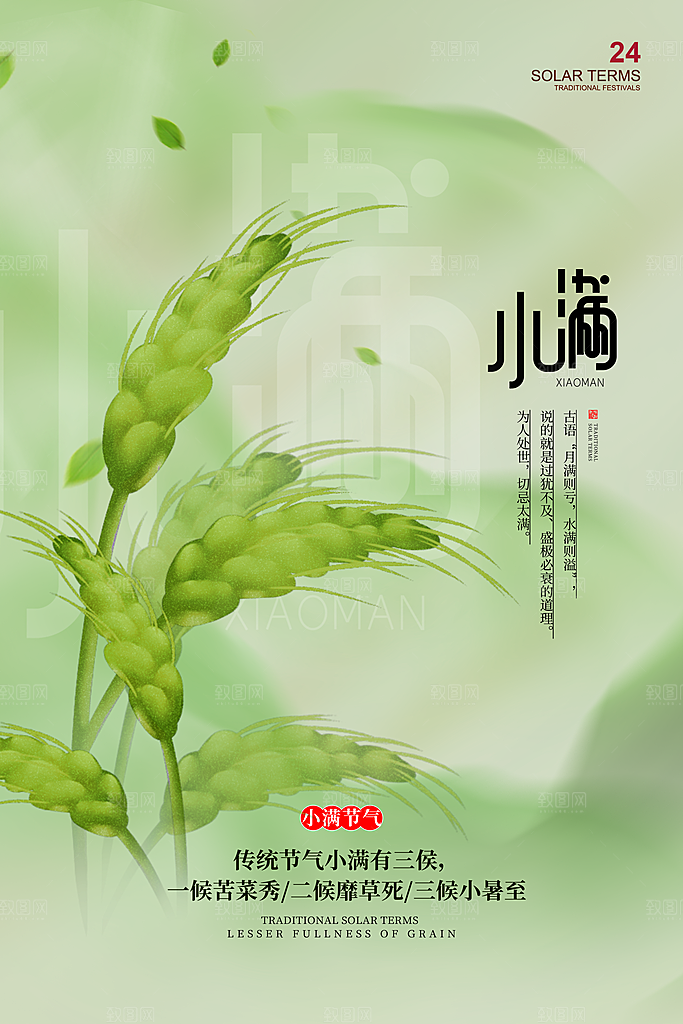 传统节气小满宣传海报