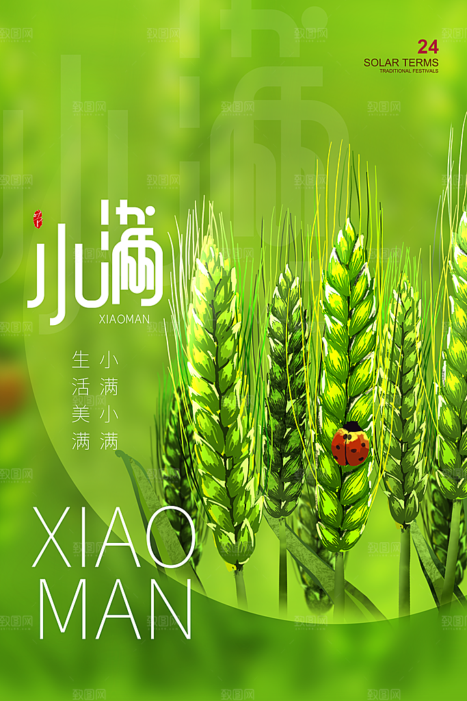 传统节气小满宣传海报