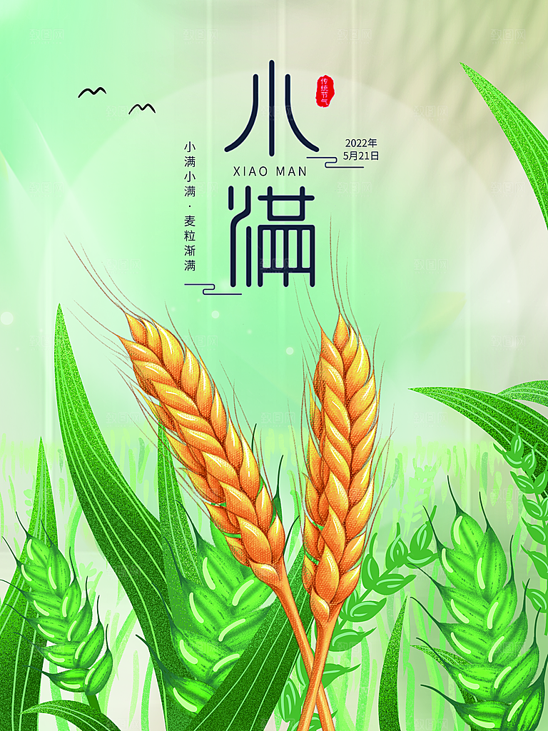 传统节气小满宣传海报