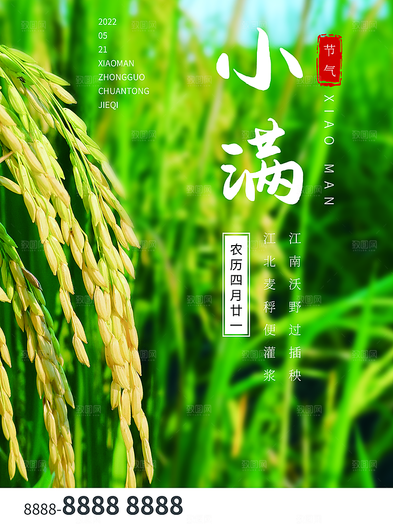 传统节气小满宣传海报