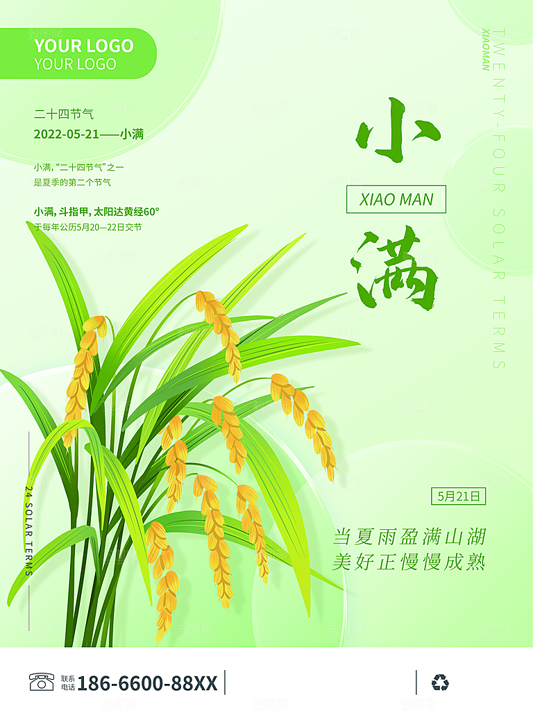 传统节气小满宣传海报