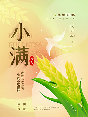传统节气小满宣传海报