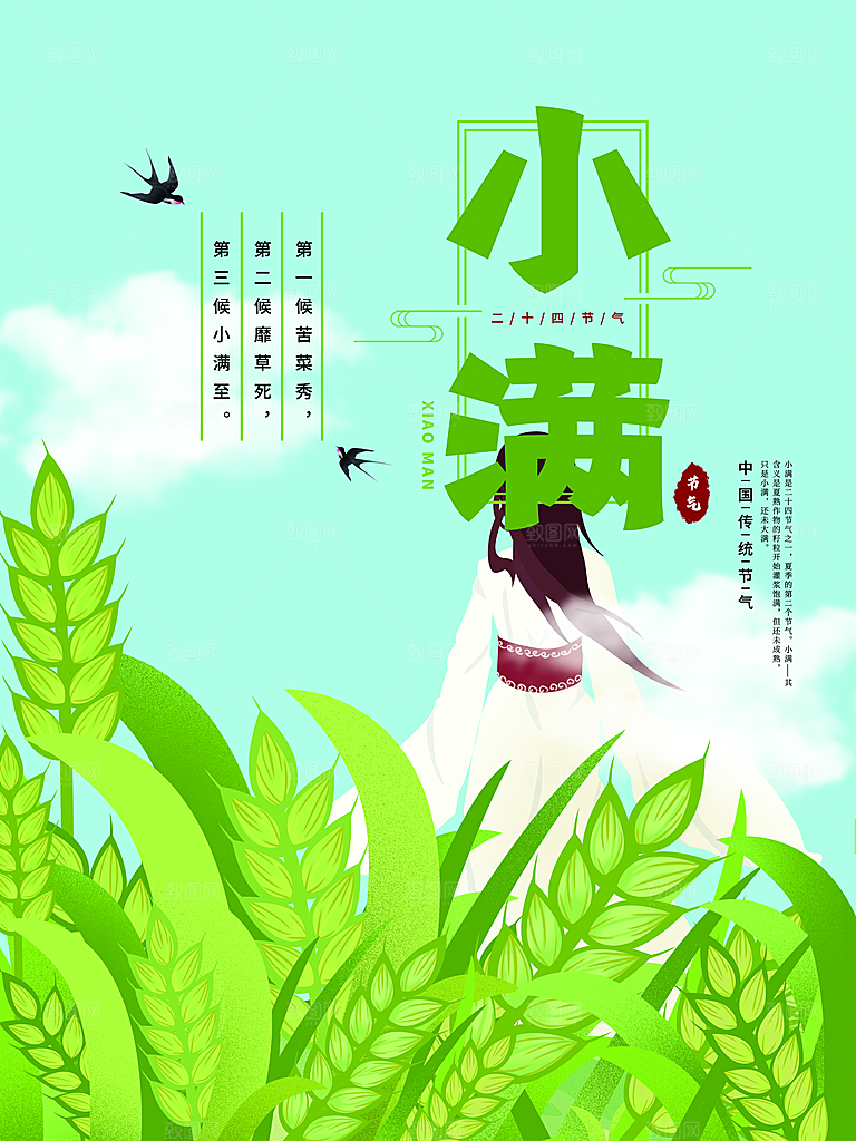 传统节气小满宣传海报