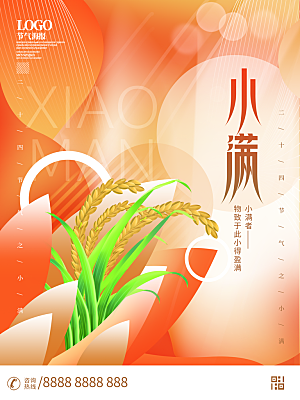 传统节气小满宣传海报