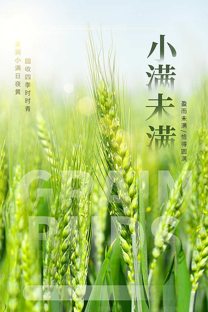 传统节气小满宣传海报