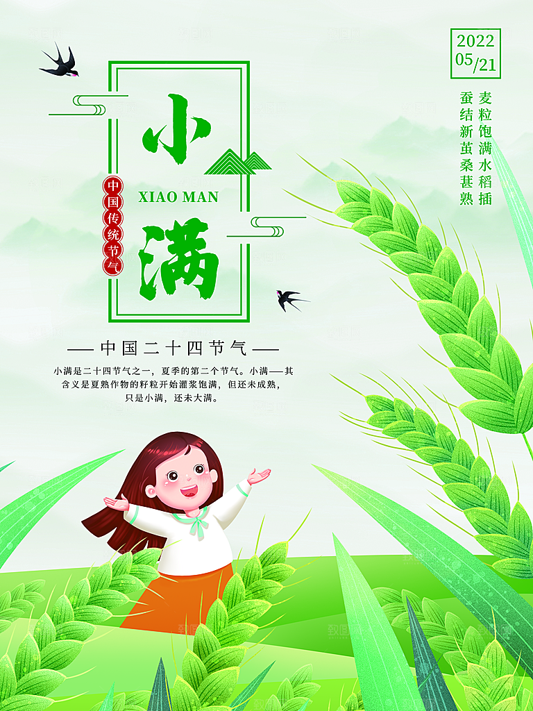 传统节气小满宣传海报